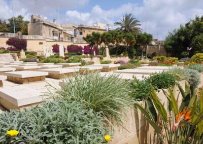 Pieta War Cemetery, Malta , where 795 Trooper William Sharpe is buried.