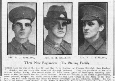 Three New Englanders : The Stalling Family